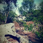 Nacchinono Olbia