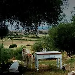Bed & Breakfast Nacchinono