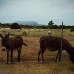 Nacchinono Olbia
