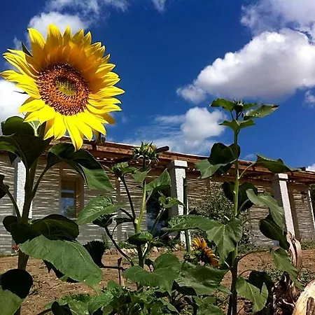 Nacchinono B&B 올비아