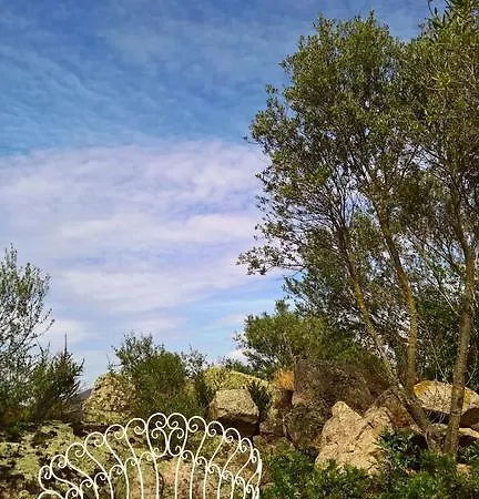 Bed & Breakfast Nacchinono Olbia