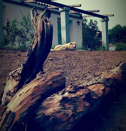 Bed & Breakfast Nacchinono