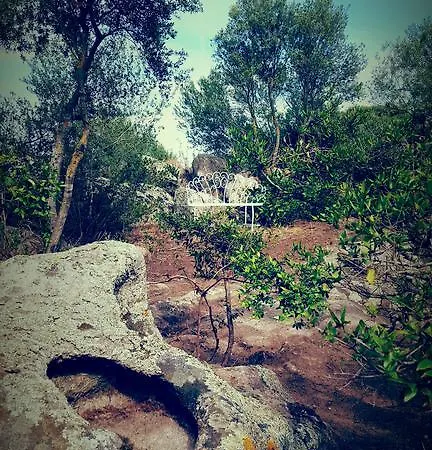 Nacchinono Olbia