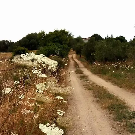 Bed & Breakfast Nacchinono 3*