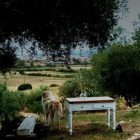 Bed & Breakfast Nacchinono