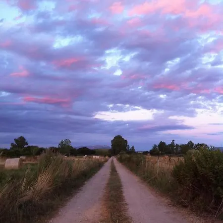 Bed & Breakfast Nacchinono