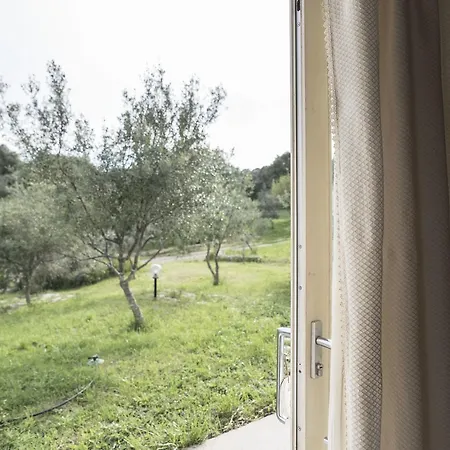 Oda ve Kahvaltı Nacchinono