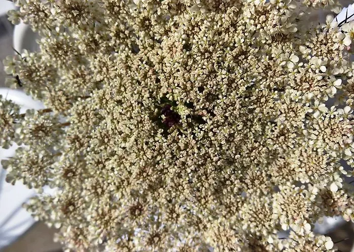 Bed & Breakfast Nacchinono 3*