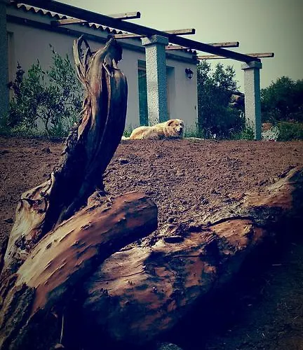 Bed & Breakfast Nacchinono