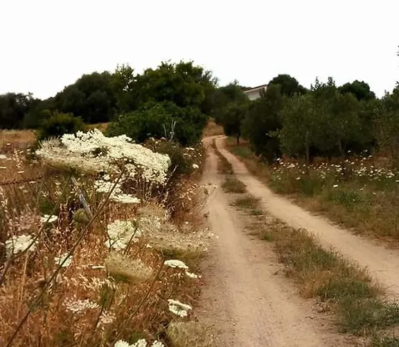 Bed & Breakfast Nacchinono 3*