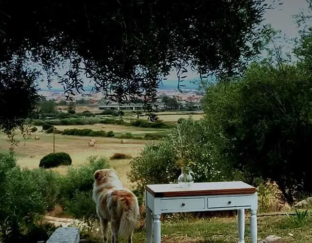 Bed & Breakfast Nacchinono