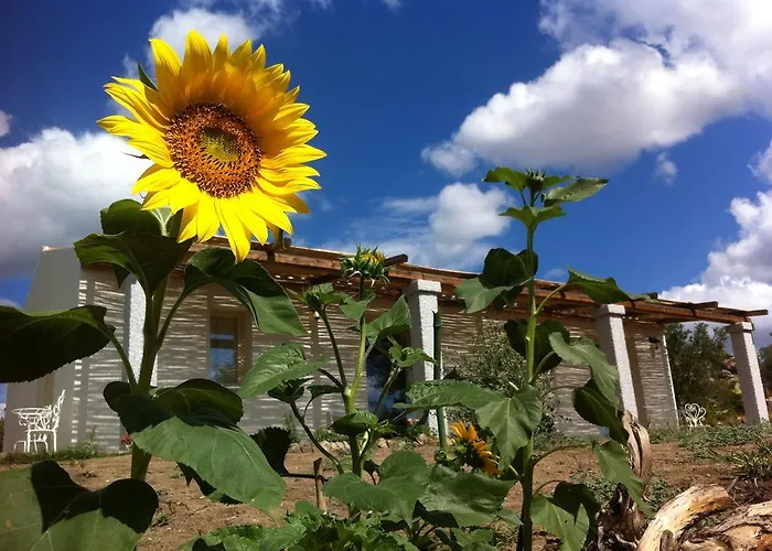 Bed & Breakfast Nacchinono Olbia